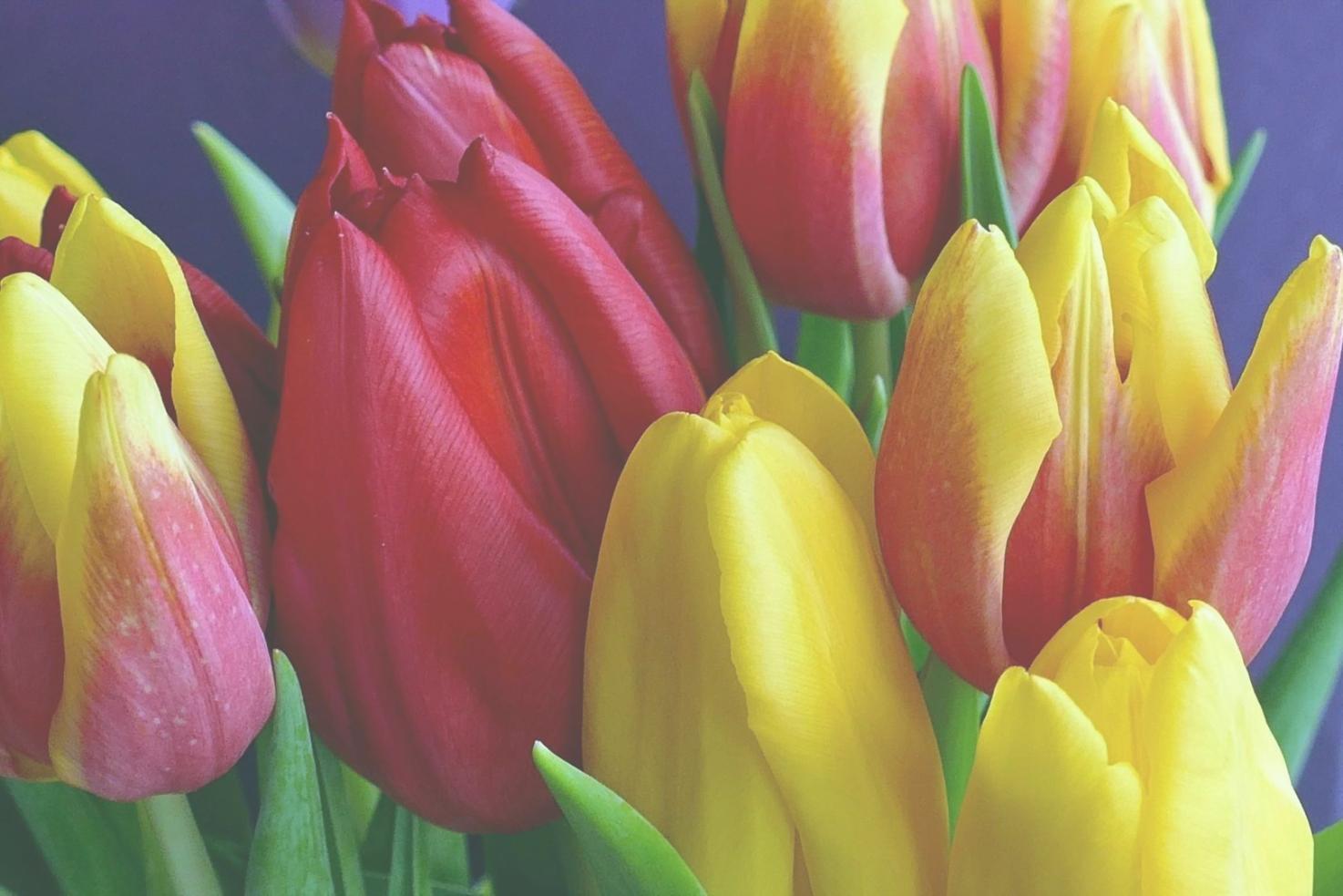 Advanced floral composition techniques